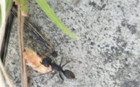 ����cΛρ����500��