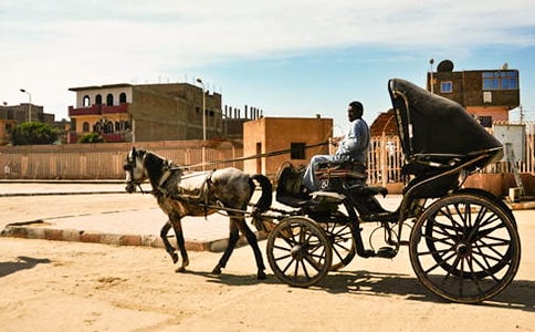 坐上童話中的小馬車慢慢抵達(dá)的名人故事