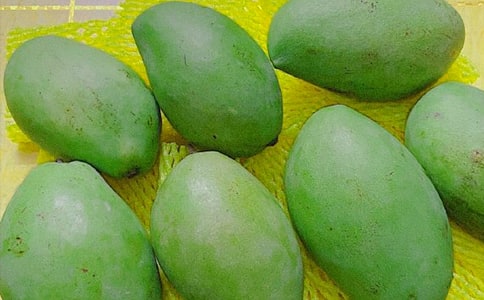 觀察芒果的作文