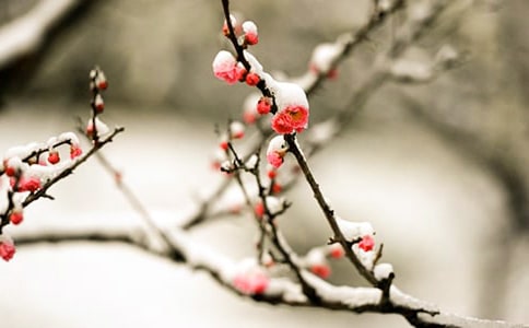 �茑÷��ʢ�_��Ԋ�䣨ͨ��160�䣩