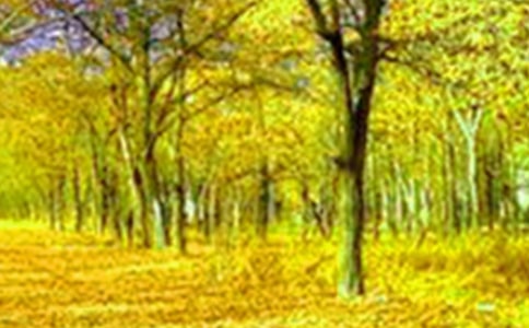 精選四年級(jí)美景作文九篇