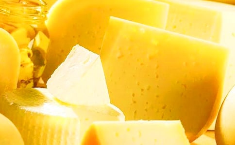 哲理故事:不值得奶酪稍稍停留