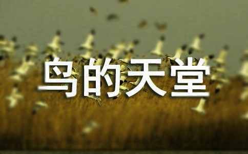 (薦)鳥(niǎo)的天堂課后反思5篇