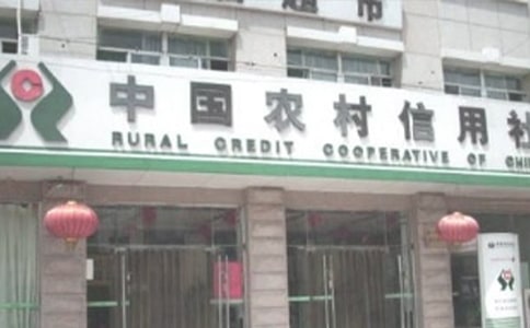 農(nóng)村信用社員工的述職報(bào)告(通用5篇)