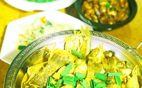 游農(nóng)家樂作文8篇