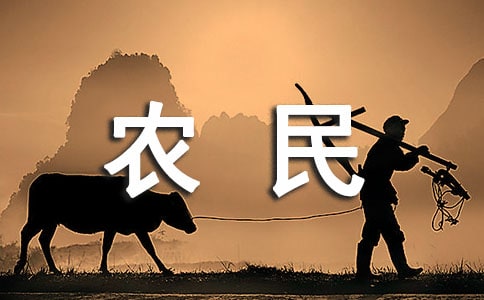 農(nóng)民生活狀況調(diào)查報(bào)告范文(通用10篇)