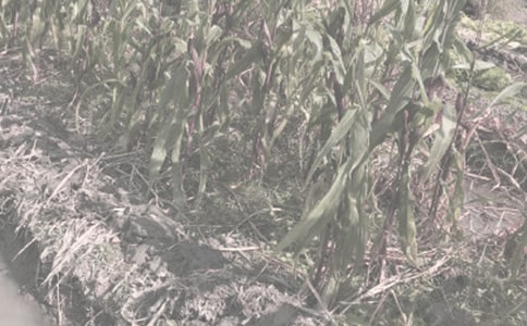 �r(n��ng)����N���I�u��ͬ������