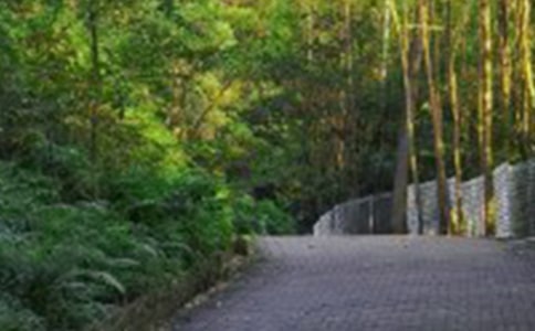 【精選】爬山的啟示作文6篇