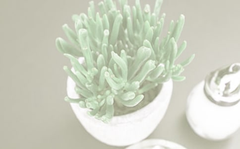 �����c��������