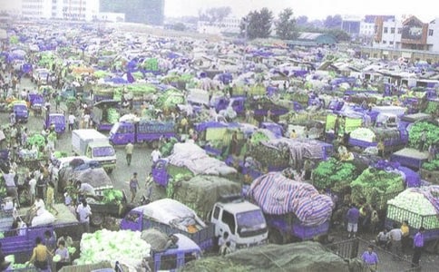 ��Ʒ���l(f��)ُ�N��(bi��o)��(zh��n)��ͬ