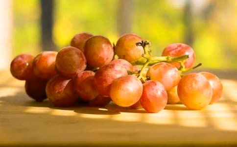 葡萄狀物作文15篇