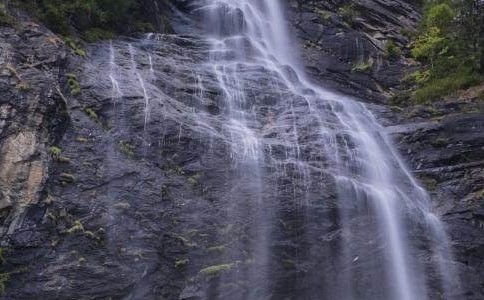 紫藤蘿瀑布課文原文和賞析