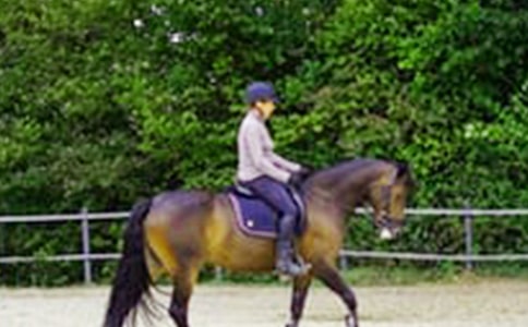 ��һ���T�R���ľ��x15ƪ