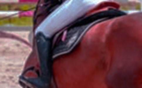 �茑��ԭ�T�R������700��