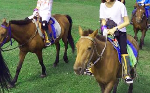 描寫草原騎馬的作文9篇