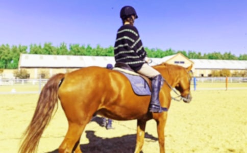 �����T���T�R����300��3ƪ