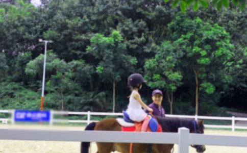 有關(guān)騎馬作文集合七篇