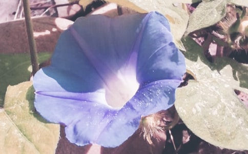 ��������x����