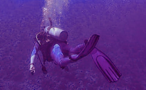 鯊魚和潛水衣敘事作文