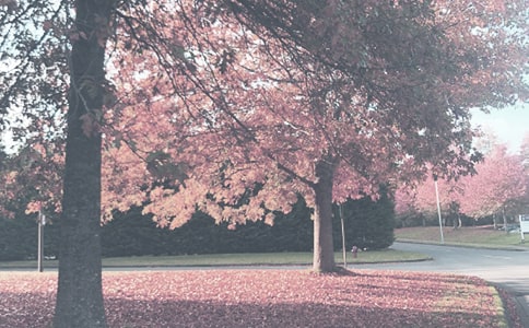 �＾�W(xu��)�ڽ̌W(xu��)����Ӌ(j��)��