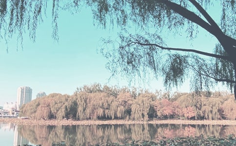 �＾�H�ӻ��(d��ng)��Ո(q��ng)��(15ƪ)