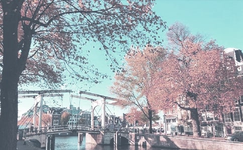 С�W(xu��)�＾�̌W(xu��)����Ӌ(j��)����ƪ