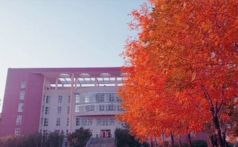 秋日的啟示作文范文