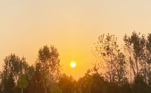 黃山看日出作文(匯編3篇)