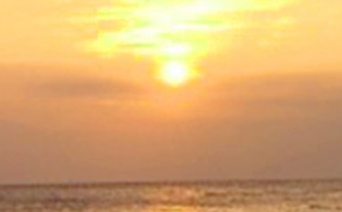 �P(gu��n)������ľ���