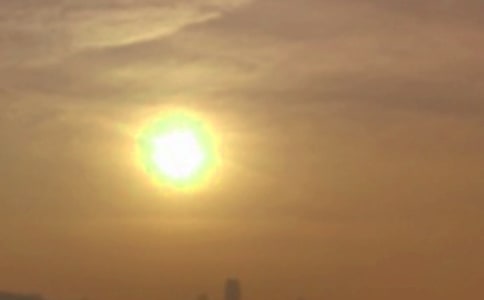 �茑����ľ���