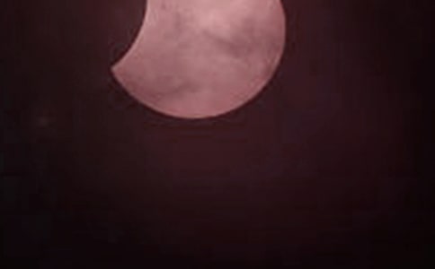 我看到了日食作文300字