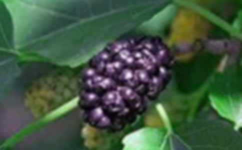 ͵ɣ������