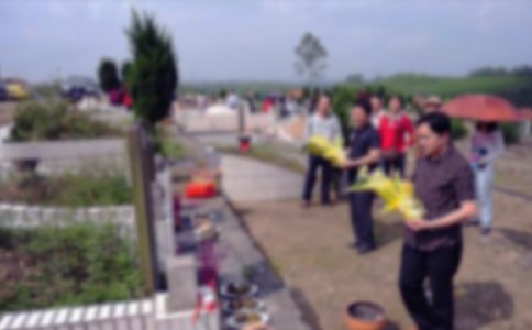 烈士陵園掃墓作文(通用20篇)