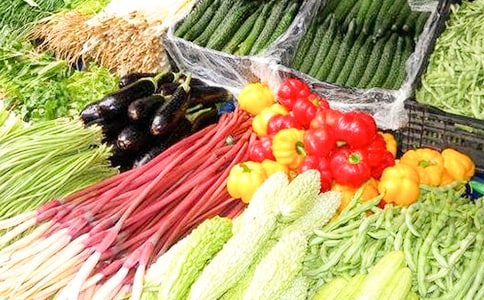 我喜歡的一種蔬菜作文