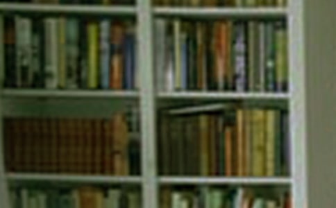 我的夢(mèng)幻書房作文