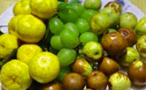 夏天的水果作文(精選15篇)