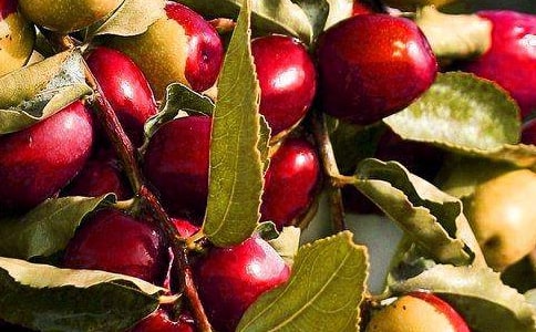 ˮ����؛�f�h��ͨ��7ƪ