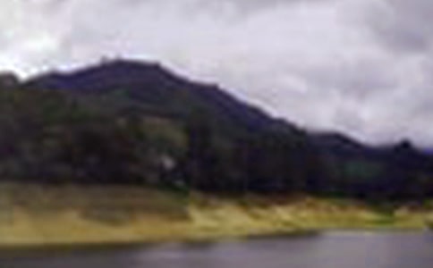 美麗的水庫小學(xué)作文