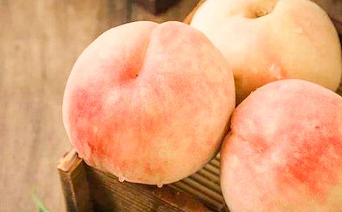 ˮ�������ģ���(y��u)�x65ƪ��