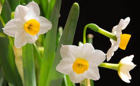 ��ˮ���ӡ�ԁ���ϡ��b�p����(chu��ng)������