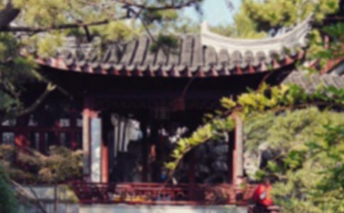 美麗的蘇州園林-600字
