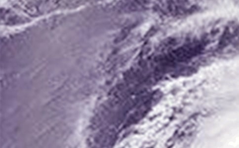 �����_�L(f��ng)�ľ���