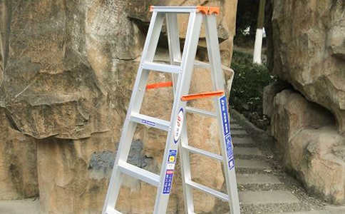 給人一架梯子的閱讀答案