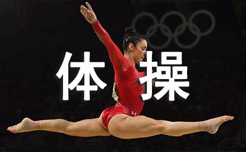 體操比賽小學(xué)生作文(精選9篇)