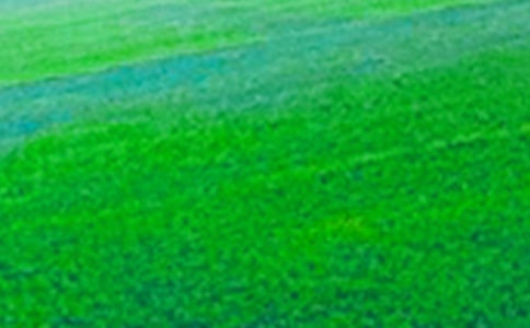 描寫田野的作文300字3篇