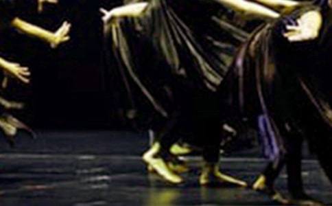 會(huì)跳舞的葡萄干作文