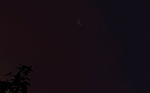 ���Ü�ů��������(w��n)���Z(y��)���ţ�ͨ��220�䣩