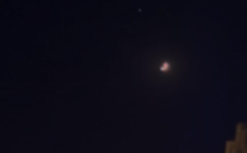 2022�곣�Ü�ů�����������Z����33�l