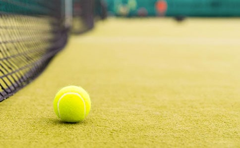 ��W(w��ng)������(��)