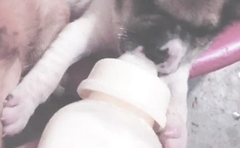 ��ƿι�̵����_�˄�(sh��)